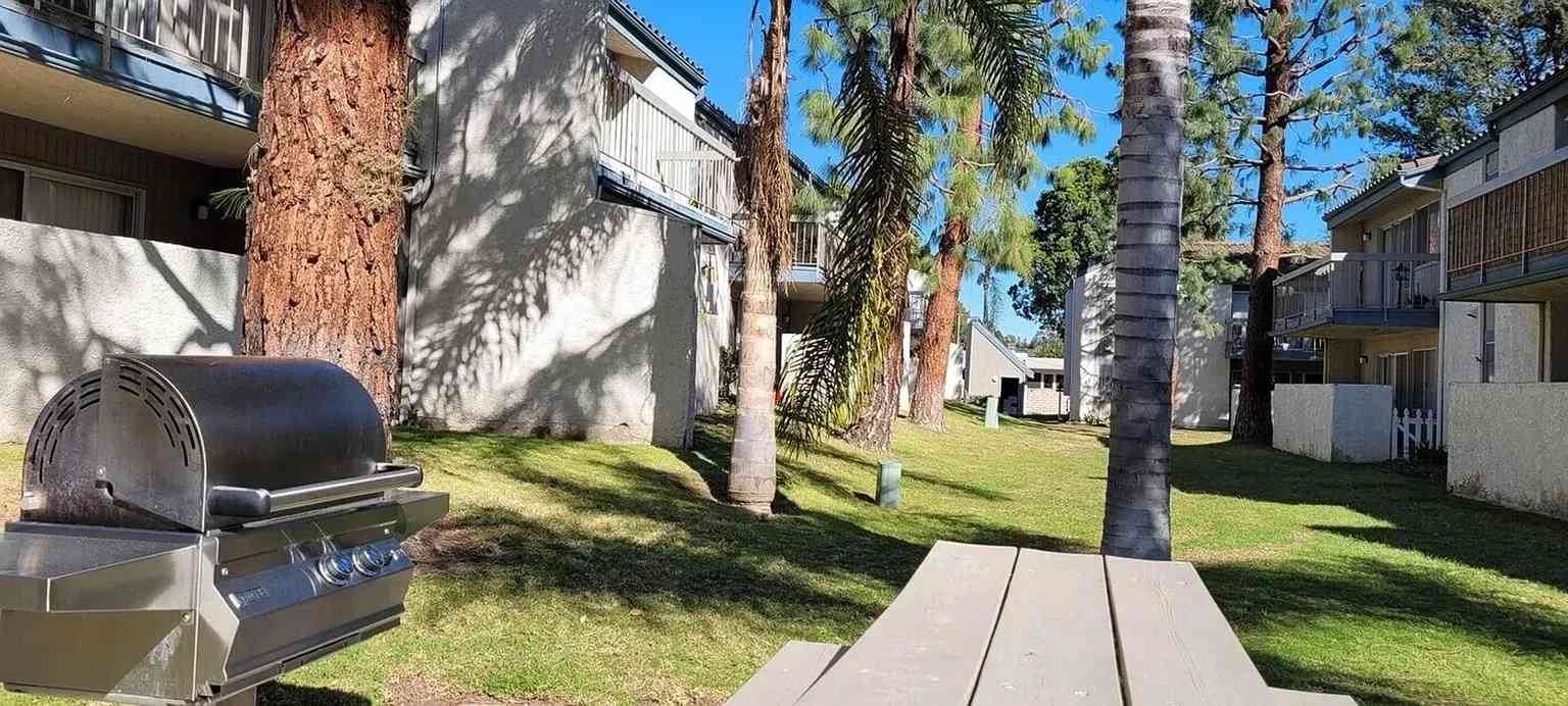community bbq grill picnic area