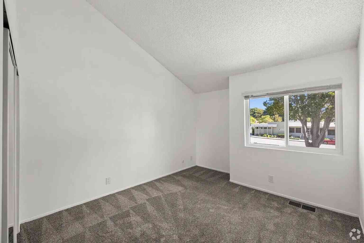 spacious bedroom natural light window