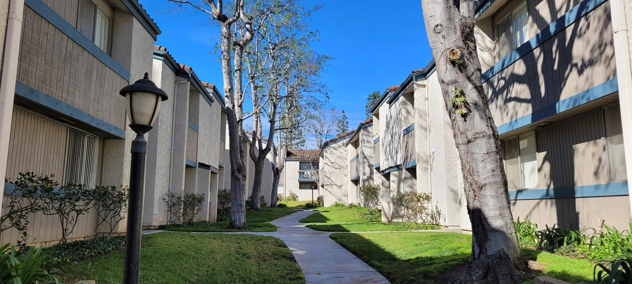 Ashwood Gardens Apartments community exterior pathway with large trees